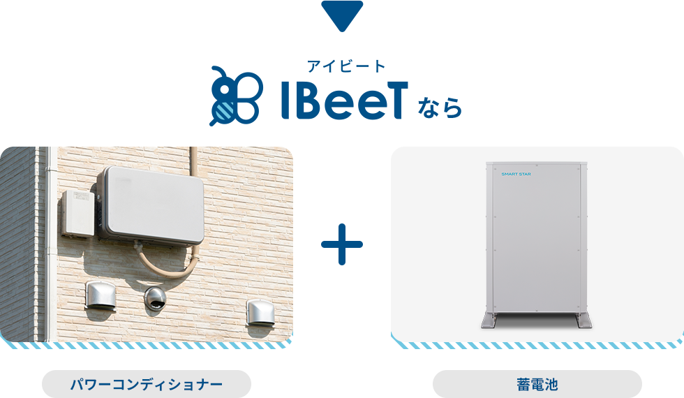 IBeeTなら